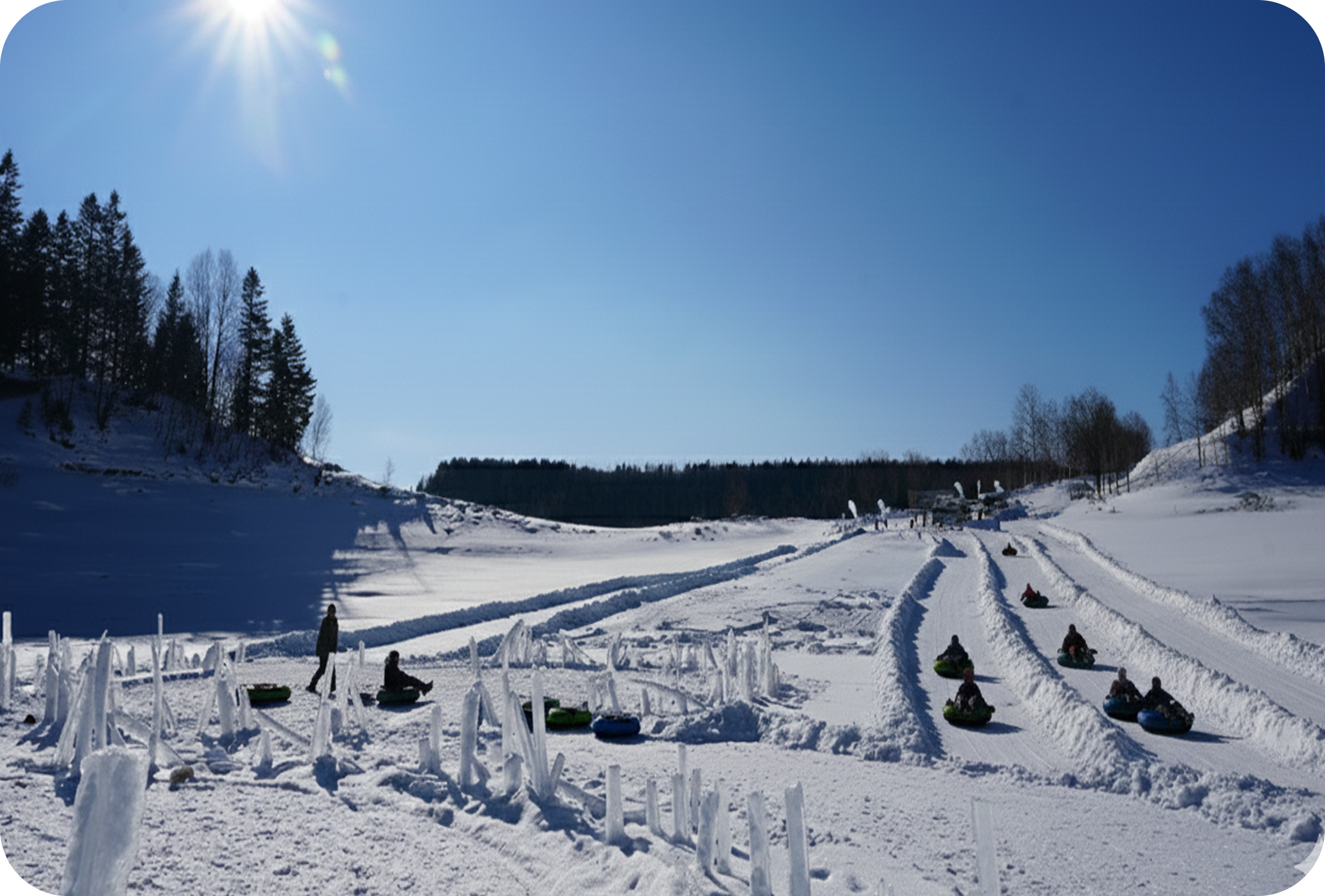 無料アクティビティ